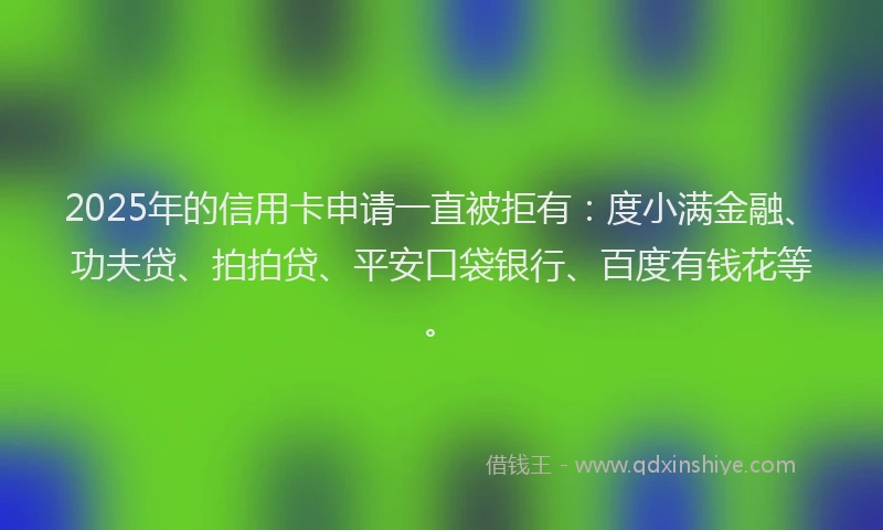 2025年的信用卡申请一直被拒有：度小满金融、功夫贷、拍拍贷、平安口袋银行、百度有钱花等。