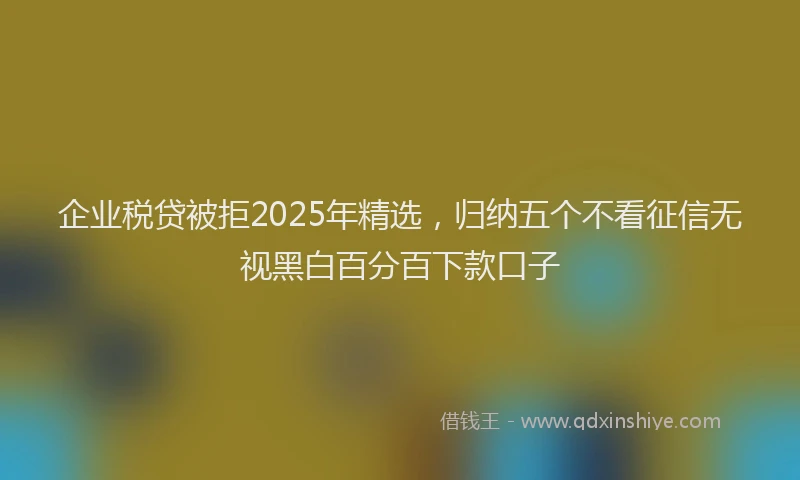 企业税贷被拒2025年精选，归纳五个不看征信无视黑白百分百下款口子