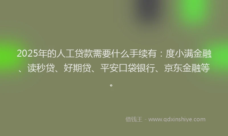 2025年的人工贷款需要什么手续有：度小满金融、读秒贷、好期贷、平安口袋银行、京东金融等。