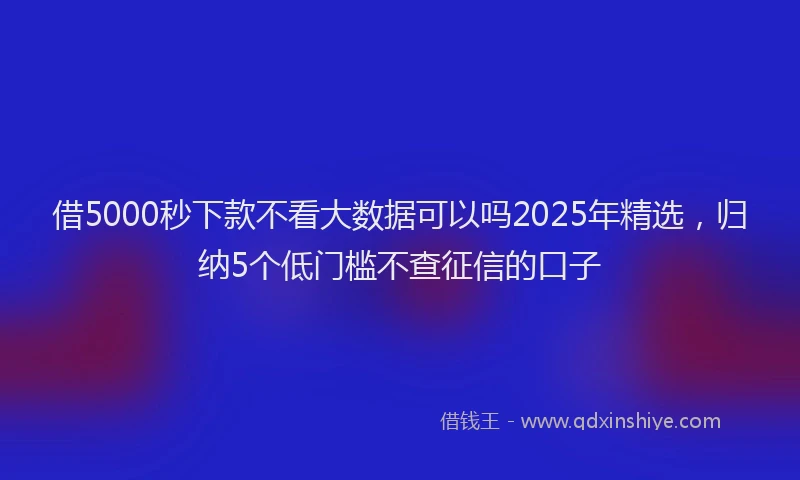 借5000秒下款不看大数据可以吗2025年精选，归纳5个低门槛不查征信的口子