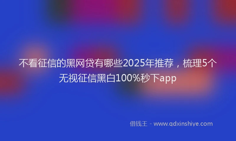 不看征信的黑网贷有哪些2025年推荐，梳理5个无视征信黑白100%秒下app