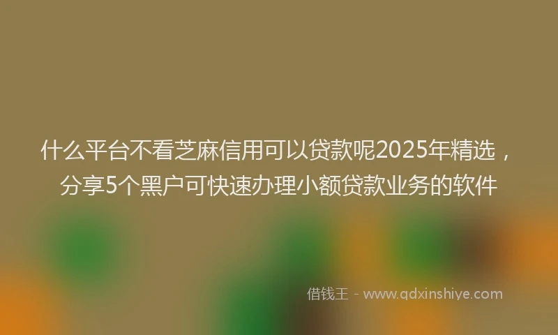 什么平台不看芝麻信用可以贷款呢2025年精选，分享5个黑户可快速办理小额贷款业务的软件