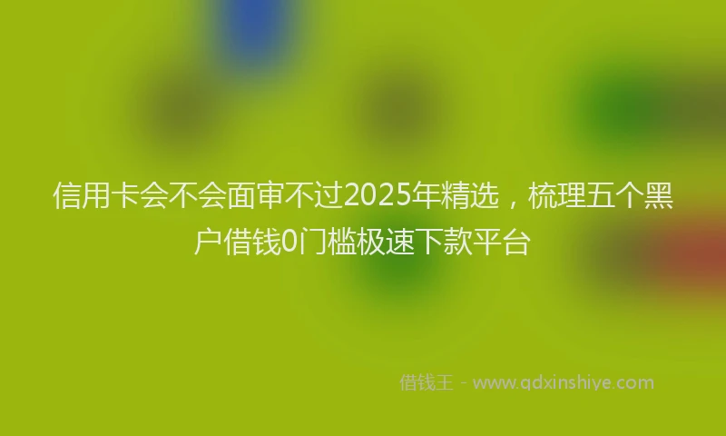 信用卡会不会面审不过2025年精选，梳理五个黑户借钱0门槛极速下款平台