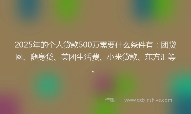 2025年的个人贷款500万需要什么条件有：团贷网、随身贷、美团生活费、小米贷款、东方汇等。
