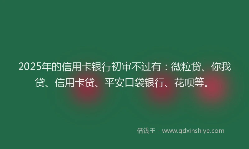 2025年的信用卡银行初审不过有：微粒贷、你我贷、信用卡贷、平安口袋银行、花呗等。