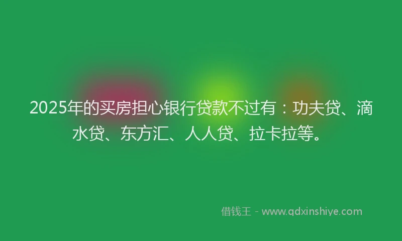 2025年的买房担心银行贷款不过有：功夫贷、滴水贷、东方汇、人人贷、拉卡拉等。