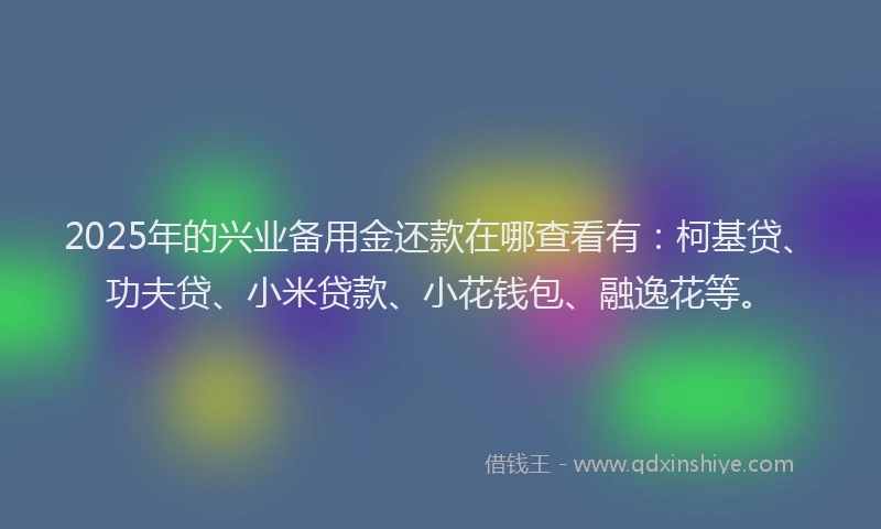 2025年的兴业备用金还款在哪查看有：柯基贷、功夫贷、小米贷款、小花钱包、融逸花等。