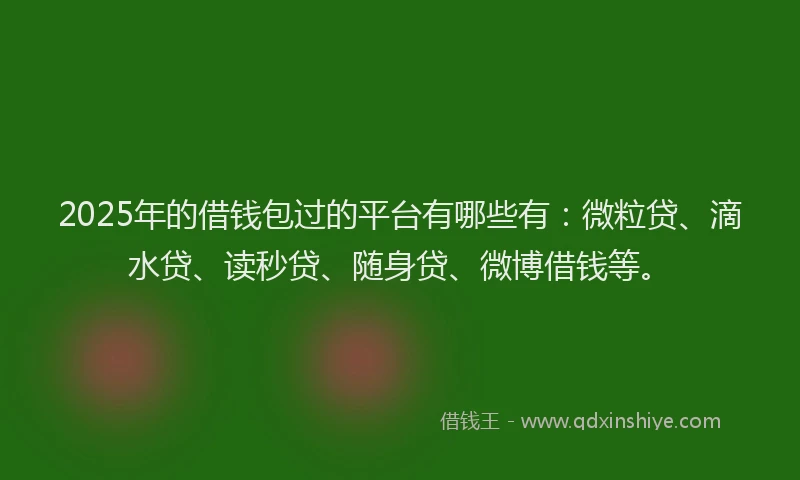 2025年的借钱包过的平台有哪些有：微粒贷、滴水贷、读秒贷、随身贷、微博借钱等。