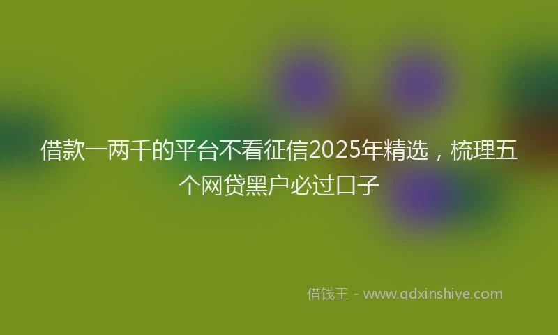 借款一两千的平台不看征信2025年精选，梳理五个网贷黑户必过口子