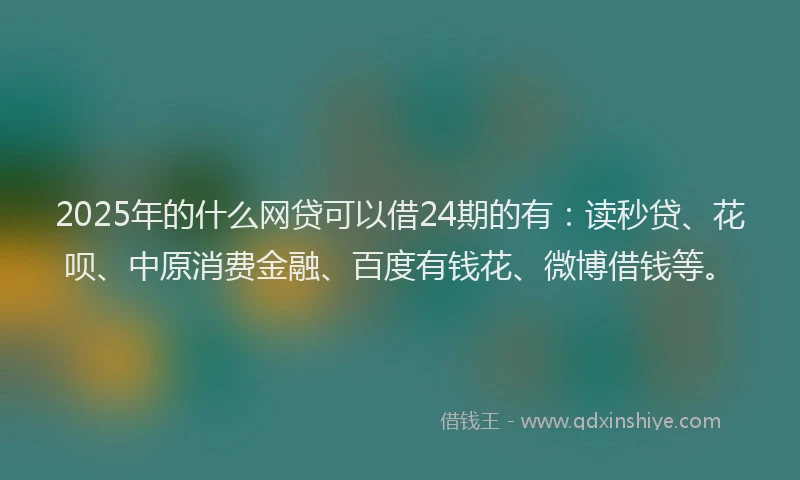 2025年的什么网贷可以借24期的有：读秒贷、花呗、中原消费金融、百度有钱花、微博借钱等。