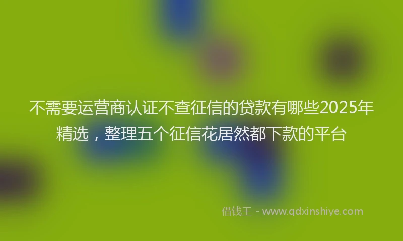 不需要运营商认证不查征信的贷款有哪些2025年精选，整理五个征信花居然都下款的平台