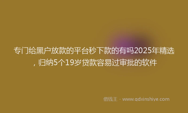 专门给黑户放款的平台秒下款的有吗2025年精选，归纳5个19岁贷款容易过审批的软件