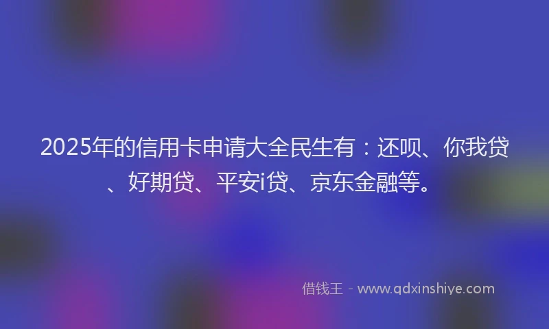 2025年的信用卡申请大全民生有：还呗、你我贷、好期贷、平安i贷、京东金融等。
