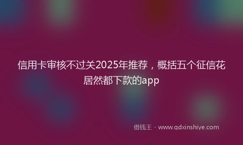 信用卡审核不过关2025年推荐，概括五个征信花居然都下款的app