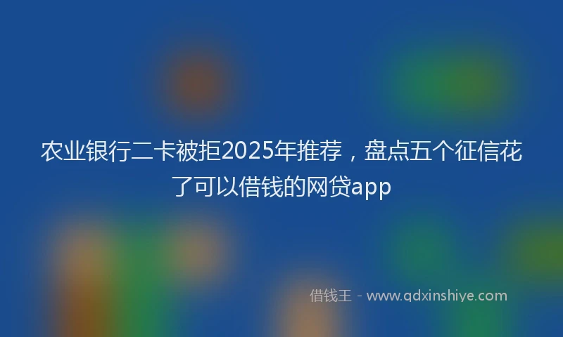 农业银行二卡被拒2025年推荐，盘点五个征信花了可以借钱的网贷app