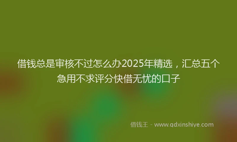 借钱总是审核不过怎么办2025年精选，汇总五个急用不求评分快借无忧的口子