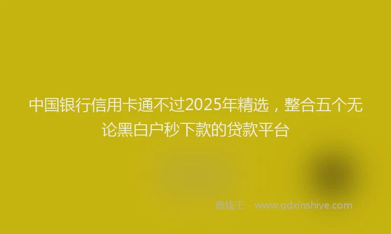 中国银行信用卡通不过2025年精选，整合五个无论黑白户秒下款的贷款平台