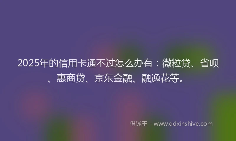 2025年的信用卡通不过怎么办有：微粒贷、省呗、惠商贷、京东金融、融逸花等。