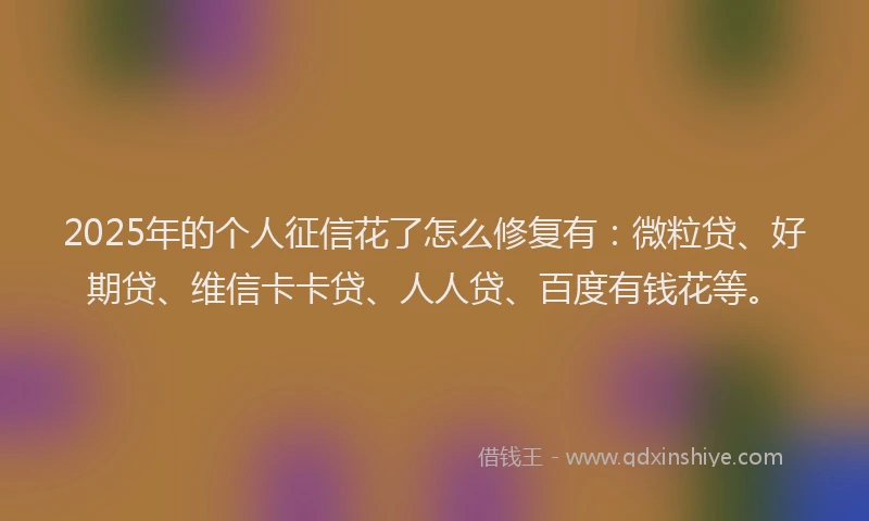 2025年的个人征信花了怎么修复有：微粒贷、好期贷、维信卡卡贷、人人贷、百度有钱花等。