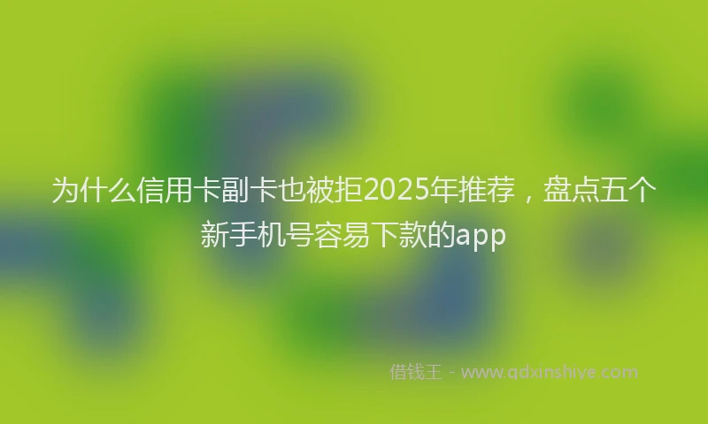 为什么信用卡副卡也被拒2025年推荐，盘点五个新手机号容易下款的app
