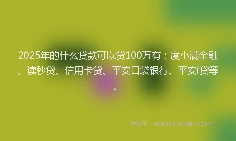 2025年的什么贷款可以贷100万有：度小满金融、读秒贷、信用卡贷、平安口袋银行、平安i贷等。