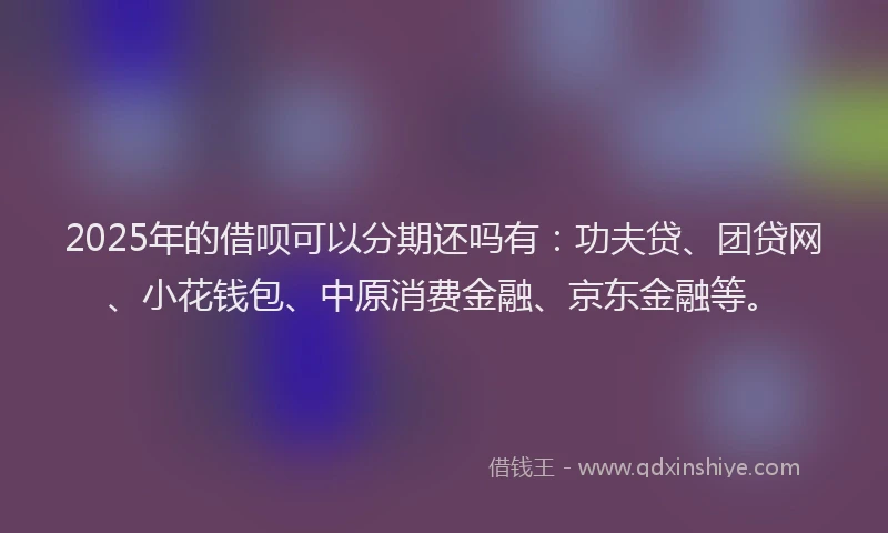 2025年的借呗可以分期还吗有：功夫贷、团贷网、小花钱包、中原消费金融、京东金融等。