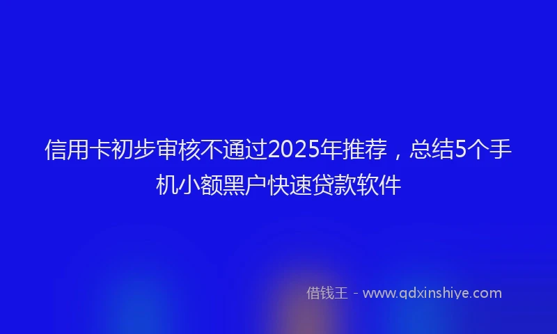 信用卡初步审核不通过2025年推荐，总结5个手机小额黑户快速贷款软件