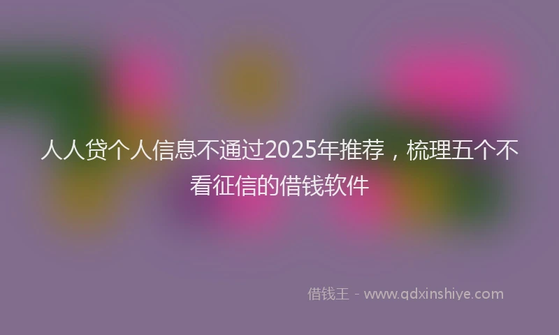 人人贷个人信息不通过2025年推荐，梳理五个不看征信的借钱软件