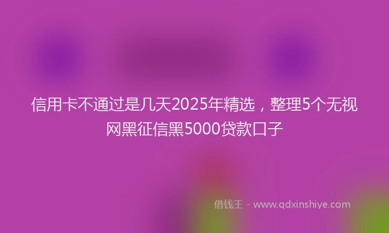 信用卡不通过是几天2025年精选，整理5个无视网黑征信黑5000贷款口子