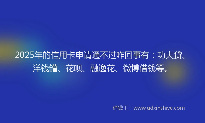 2025年的信用卡申请通不过咋回事有：功夫贷、洋钱罐、花呗、融逸花、微博借钱等。