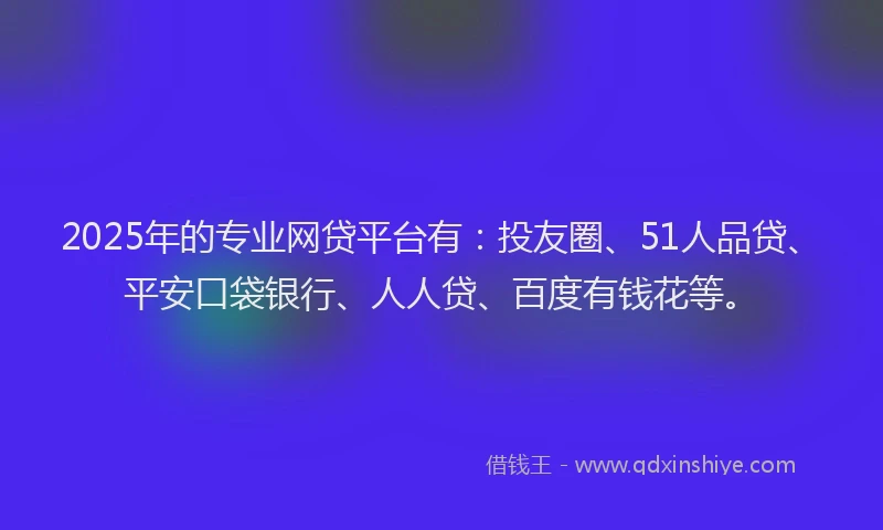 2025年的专业网贷平台有：投友圈、51人品贷、平安口袋银行、人人贷、百度有钱花等。