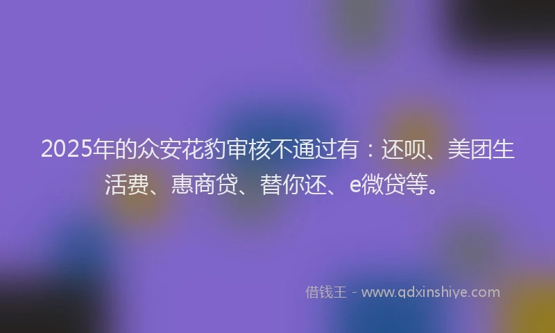 2025年的众安花豹审核不通过有：还呗、美团生活费、惠商贷、替你还、e微贷等。