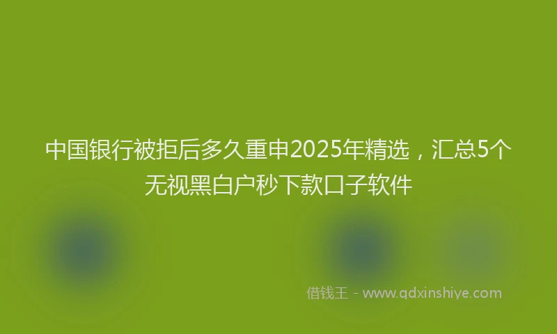 中国银行被拒后多久重申2025年精选，汇总5个无视黑白户秒下款口子软件