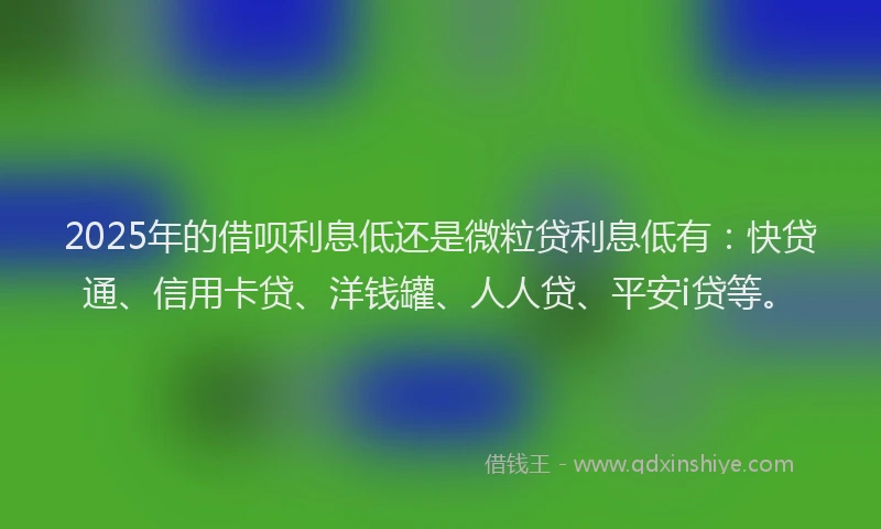 2025年的借呗利息低还是微粒贷利息低有：快贷通、信用卡贷、洋钱罐、人人贷、平安i贷等。