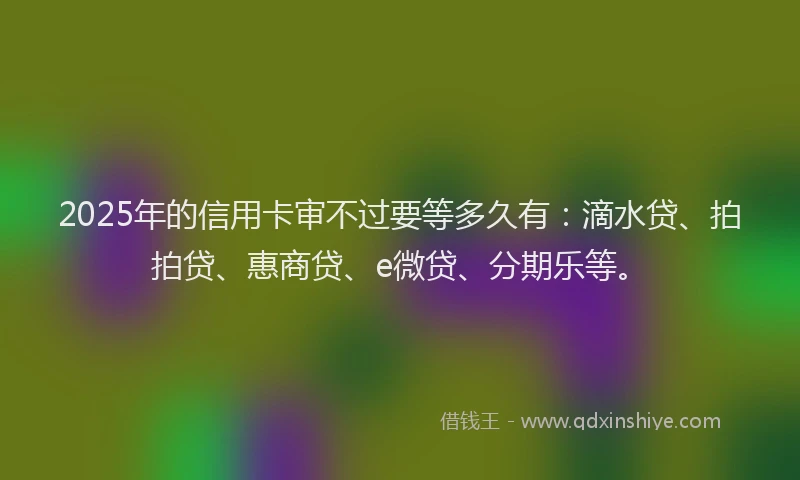 2025年的信用卡审不过要等多久有：滴水贷、拍拍贷、惠商贷、e微贷、分期乐等。