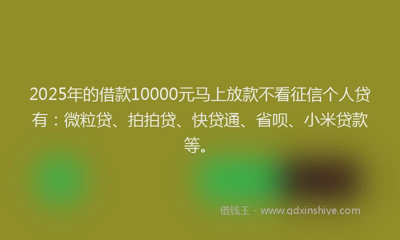 2025年的借款10000元马上放款不看征信个人贷有：微粒贷、拍拍贷、快贷通、省呗、小米贷款等。