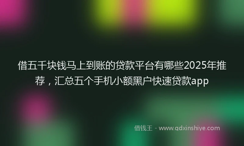 借五千块钱马上到账的贷款平台有哪些2025年推荐，汇总五个手机小额黑户快速贷款app