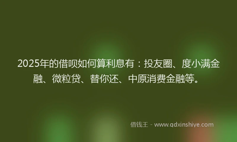 2025年的借呗如何算利息有：投友圈、度小满金融、微粒贷、替你还、中原消费金融等。