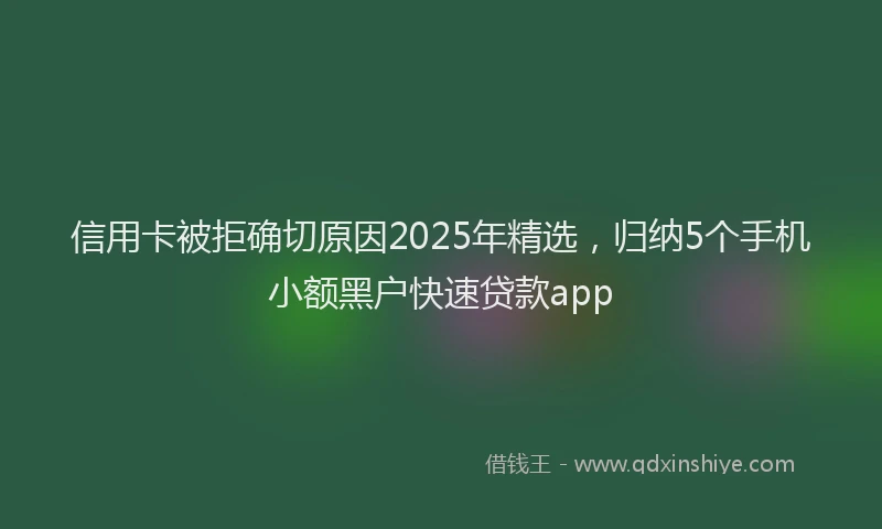 信用卡被拒确切原因2025年精选，归纳5个手机小额黑户快速贷款app