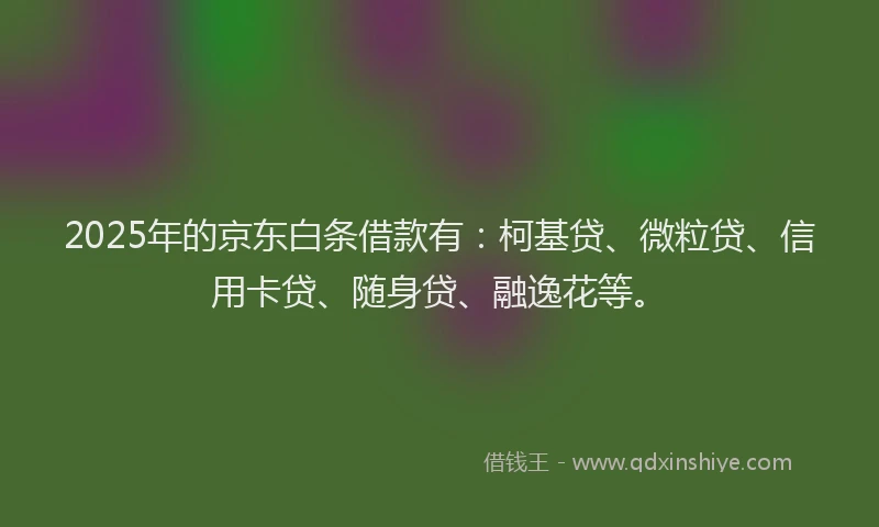 2025年的京东白条借款有：柯基贷、微粒贷、信用卡贷、随身贷、融逸花等。