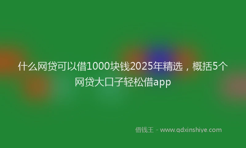什么网贷可以借1000块钱2025年精选，概括5个网贷大口子轻松借app