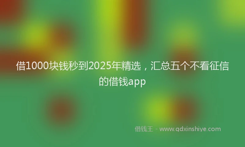 借1000块钱秒到2025年精选，汇总五个不看征信的借钱app