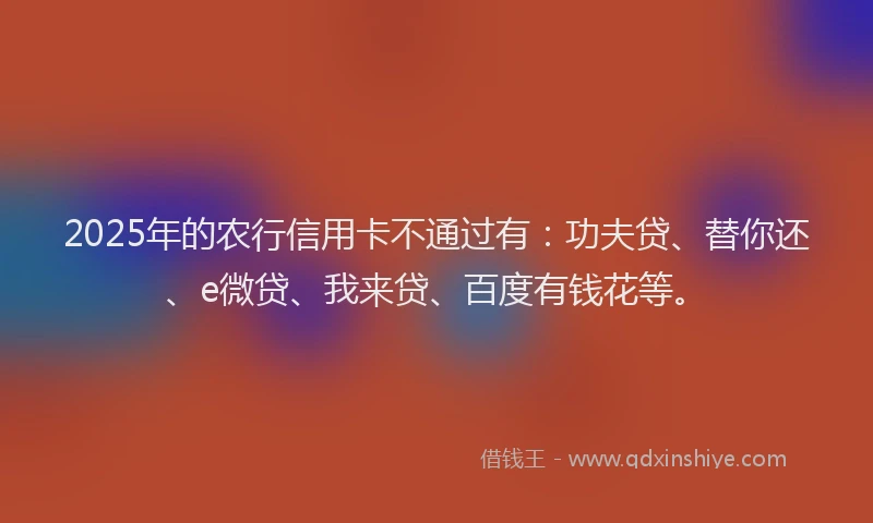 2025年的农行信用卡不通过有：功夫贷、替你还、e微贷、我来贷、百度有钱花等。