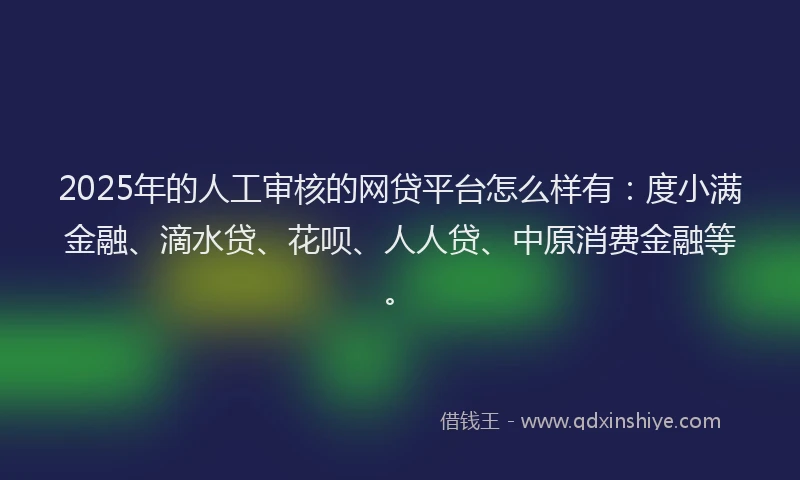 2025年的人工审核的网贷平台怎么样有：度小满金融、滴水贷、花呗、人人贷、中原消费金融等。