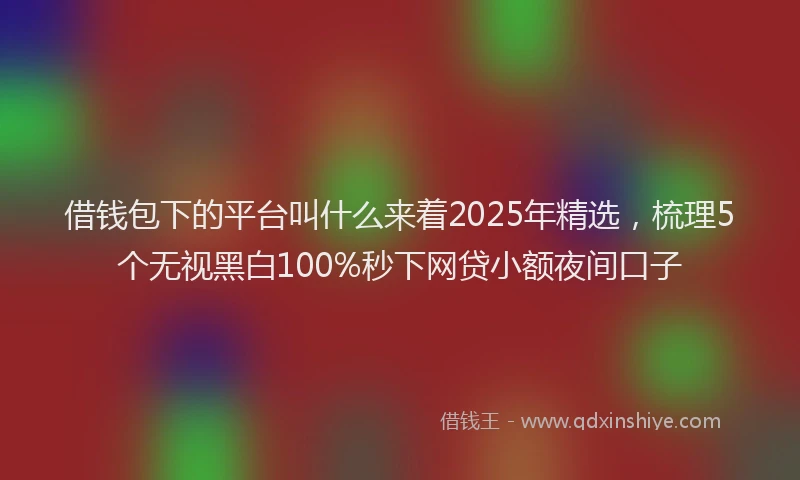 借钱包下的平台叫什么来着2025年精选，梳理5个无视黑白100%秒下网贷小额夜间口子