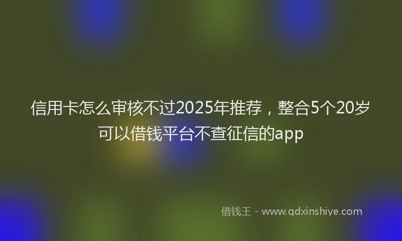 信用卡怎么审核不过2025年推荐，整合5个20岁可以借钱平台不查征信的app