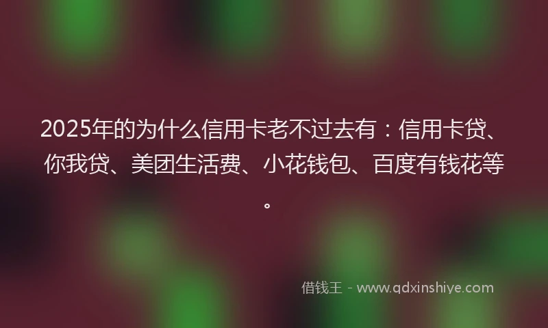 2025年的为什么信用卡老不过去有：信用卡贷、你我贷、美团生活费、小花钱包、百度有钱花等。