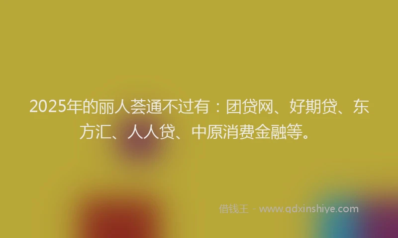 2025年的丽人荟通不过有：团贷网、好期贷、东方汇、人人贷、中原消费金融等。