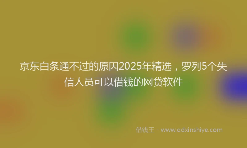京东白条通不过的原因2025年精选，罗列5个失信人员可以借钱的网贷软件