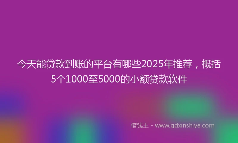 今天能贷款到账的平台有哪些2025年推荐，概括5个1000至5000的小额贷款软件